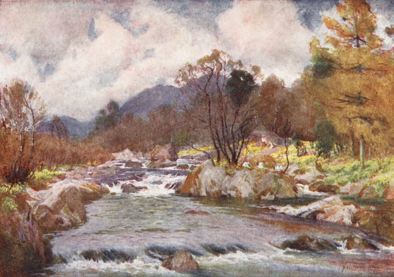 Lake District: Påskliljor vid stranden av den silverfärgade Duddon (färglitografi) av Alfred Heaton Cooper