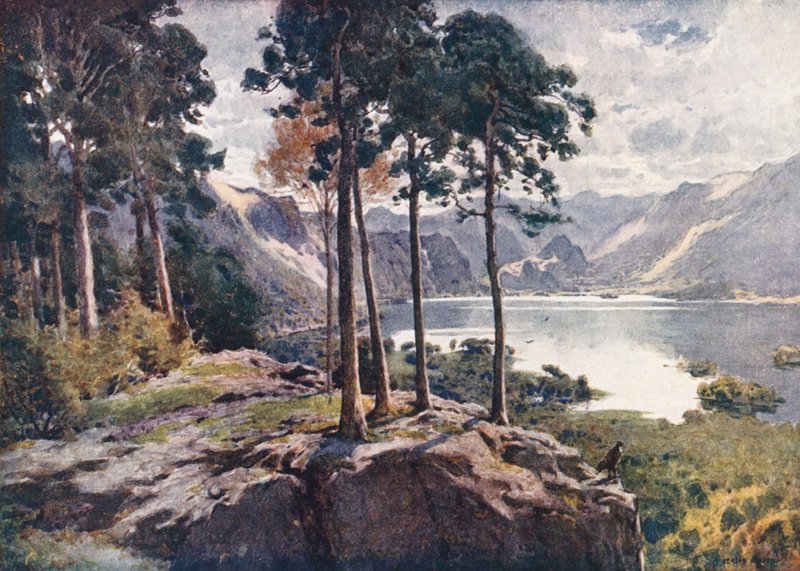 Lake District: Derwentwater, från Castle Head, en ljus morgon (färglitografi) av Alfred Heaton Cooper