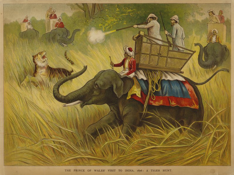 Edward, Prince of Wales, skjuter tigrar på ett besök i Indien av Alfred Johnson