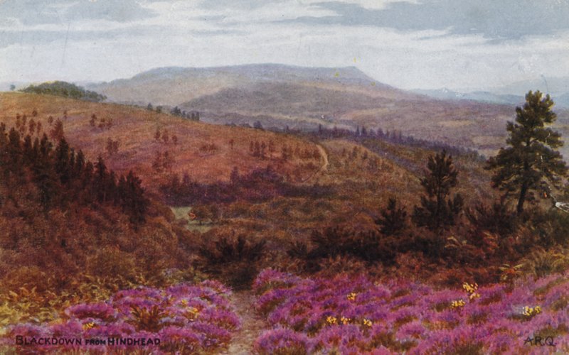 Blackdown från Hindhead av Alfred Robert Quinton
