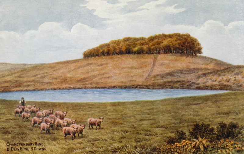 Chanctonbury Ring och Dew Pond, S Downs av Alfred Robert Quinton