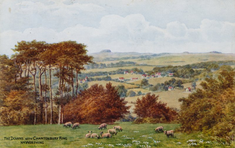 The Downs med Chanctonbury Ring, Nr Worthing av Alfred Robert Quinton