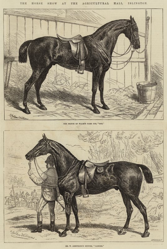 Hästutställningen i Agricultural Hall, Islington av Alfred Sheldon Williams