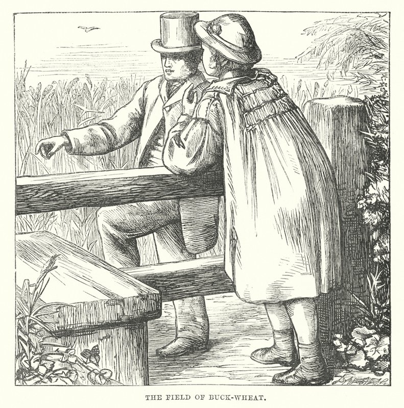  av Alfred Walter (after) Bayes