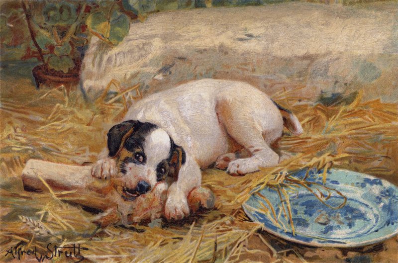Ju närmare benet, desto sötare kött (chromolitho) av Alfred William Strutt