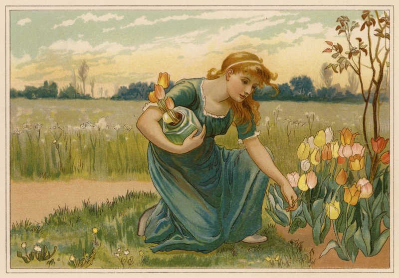 Tusenskönan (chromolitho) av Alice Havers