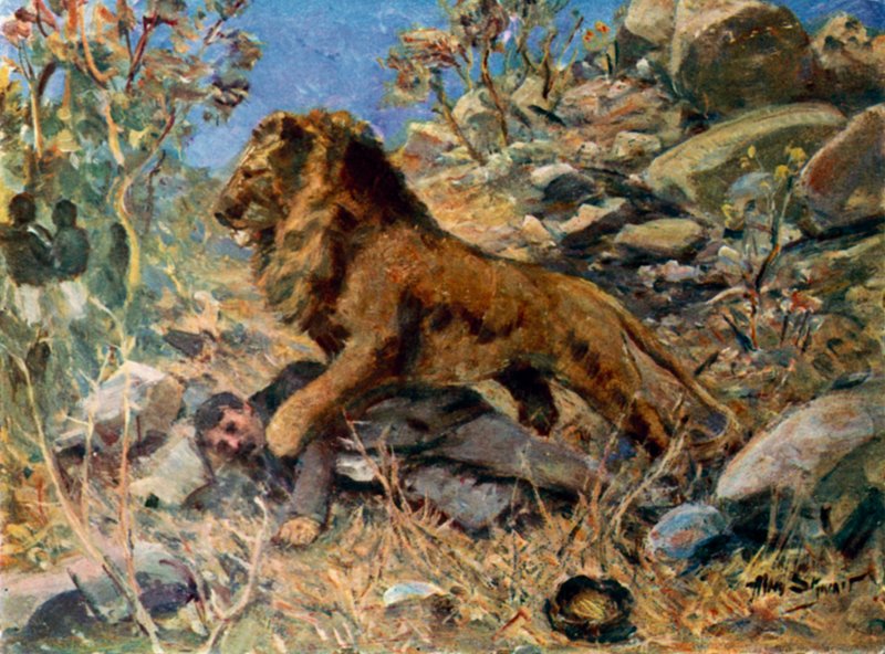 David Livingstone, Livingstone och lejonet (färg litho) av Allan (after) Stewart
