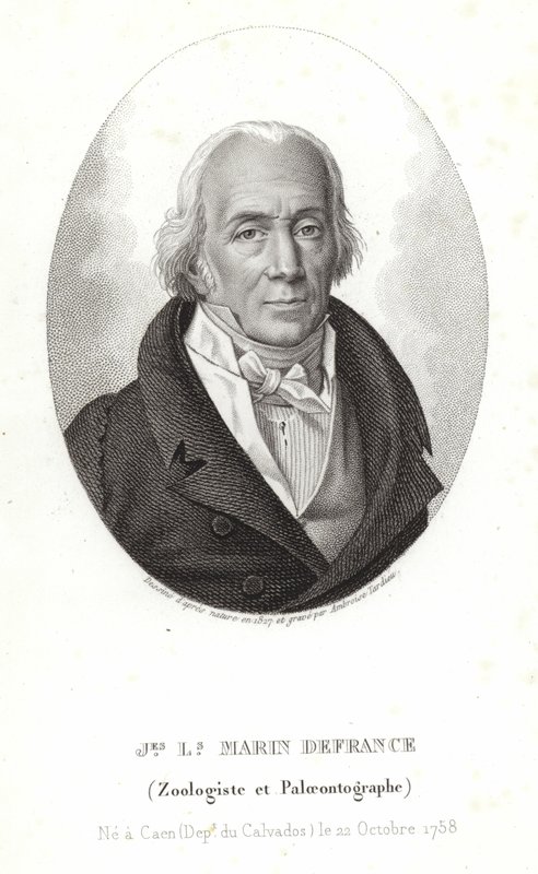 Jacques-Louis Marin från Frankrike av Ambroise Tardieu