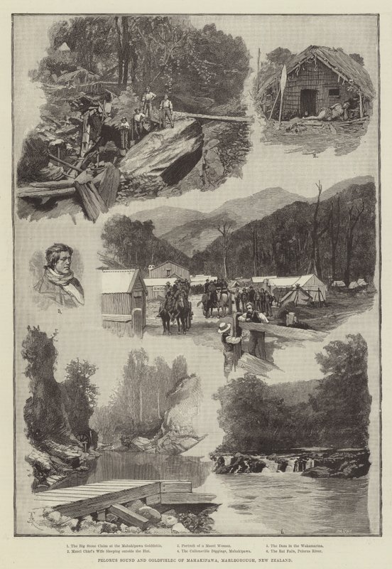 Pelorus Sound och Goldfields of Mahakipawa, Marlborough, Nya Zeeland av Amedee Forestier