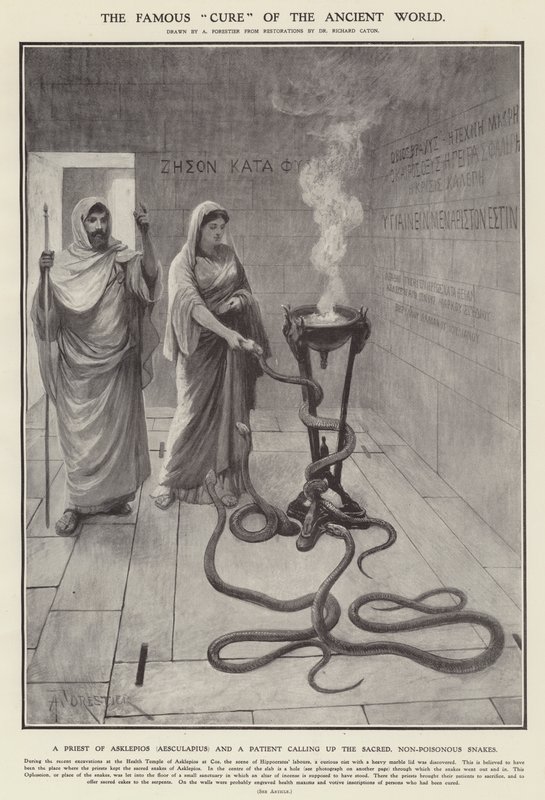 Det berömda "botemedlet" från den antika världen (litho) av Amedee (after) Forestier