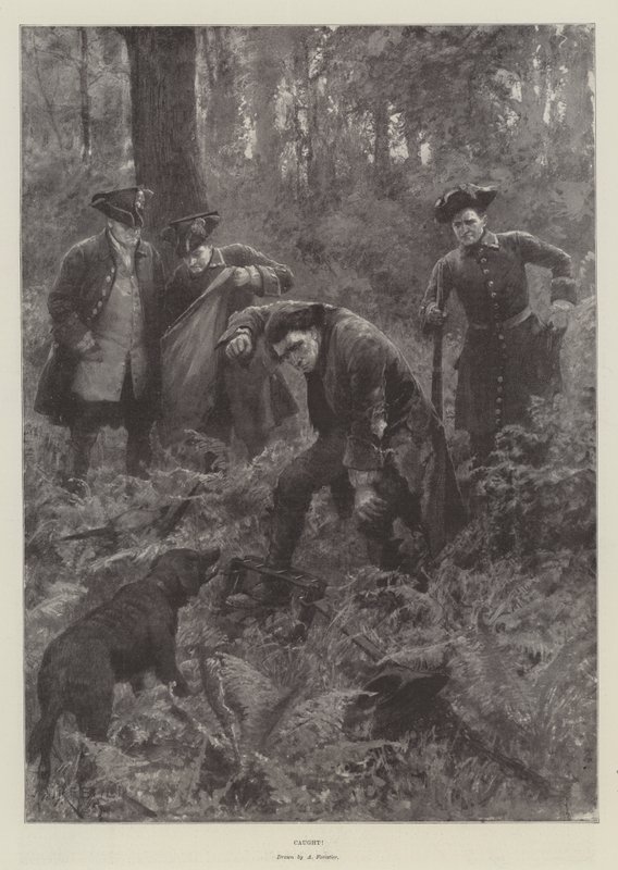 Fångad! av Amedee Forestier