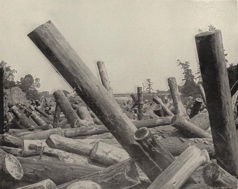 A Log Jam i St Croix River, Wisconsin (s/v foto) av American Photographer (after)