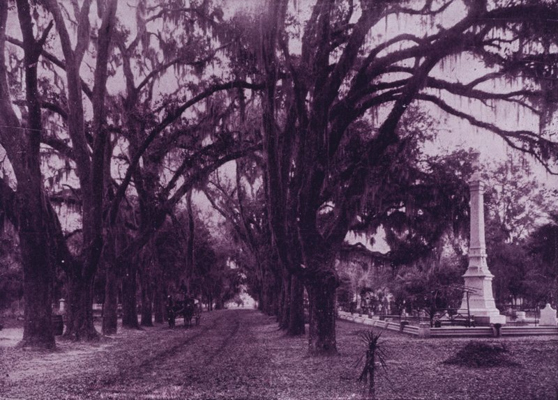 Bonaventure Cemetery, Savannah, Georgia (s/v foto) av American Photographer (after)