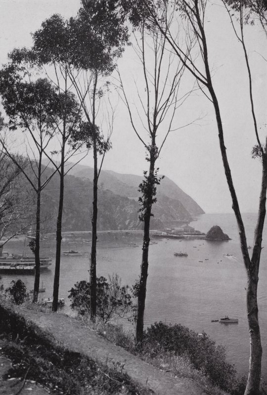 Kalifornien: Bay of Avalon, Santa Catalina Island, magiskt lekland vid Stilla havet 30 miles från södra Kaliforniens fastland (s/v foto) av American Photographer (after)