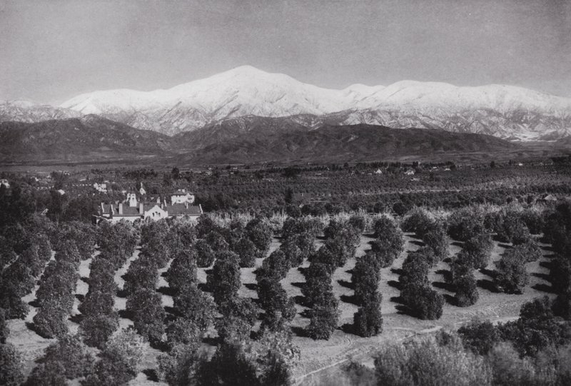 Kalifornien: Redlands, från Smiley Heights, solsken, apelsinlundar och snöiga toppar (s/v foto) av American Photographer (after)