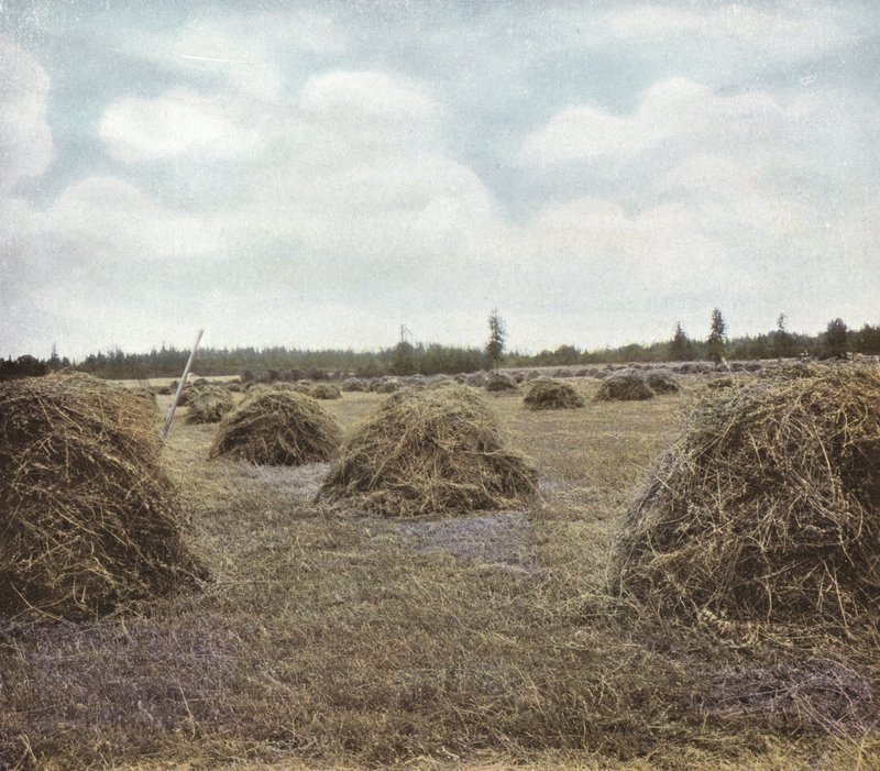 Oregon: Alfalfa (foto) av American Photographer (after)
