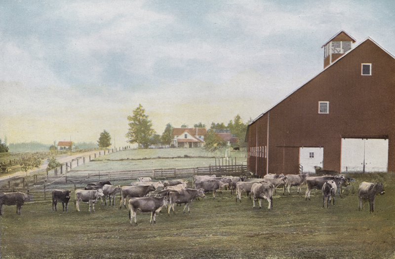 Oregon: Dairy Farm i Willamette Valley (foto) av American Photographer (after)