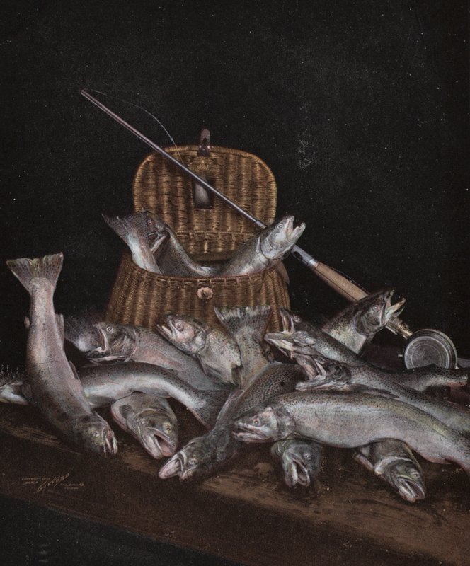 Oregon: Fiske (foto) av American Photographer (after)