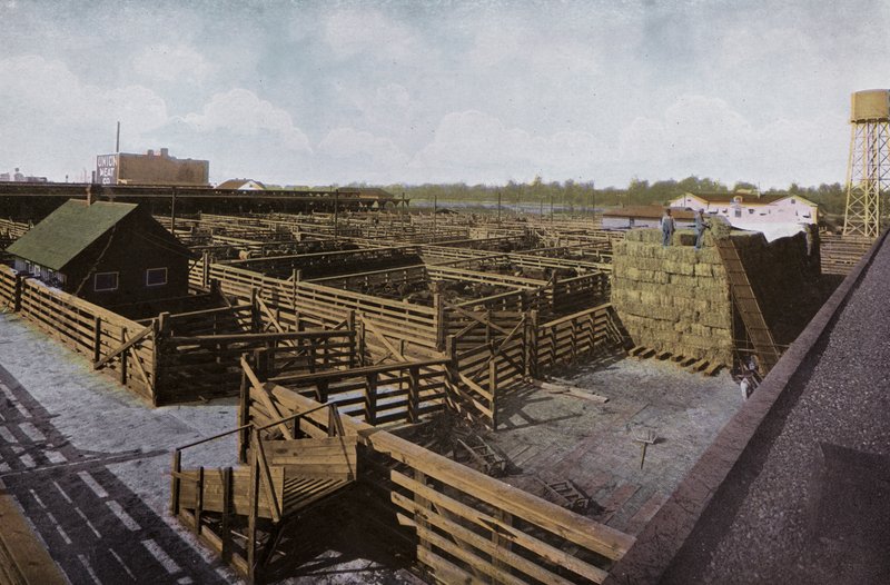 Oregon: Portland Union Stock Yards (foto) av American Photographer (after)