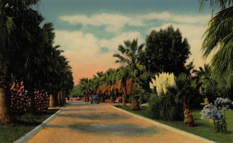 Phoenix, Arizona: Country Club Park (foto) av American Photographer (after)