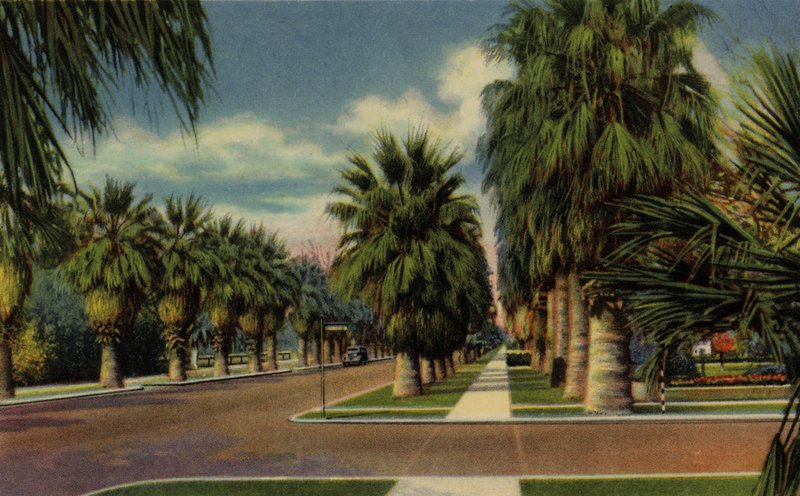 Phoenix, Arizona: North Central Avenue (foto) av American Photographer (after)