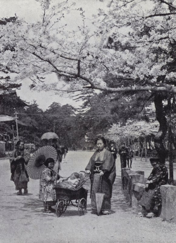 Under körsbärsblomman i Shiba Park, Tokio (s/v foto) av American Photographer (after)
