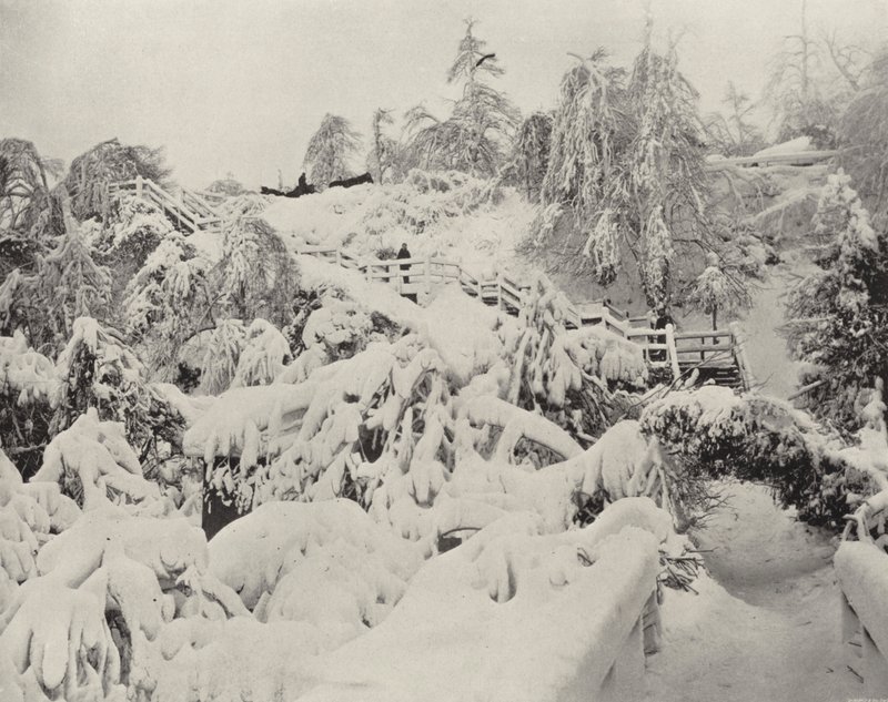 Vinterlöv på Luna Island (svart/vitt foto) av American Photographer (after)