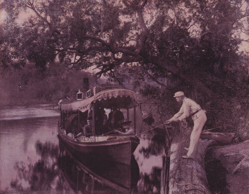 Vinter i Florida (s/v foto) av American Photographer (after)