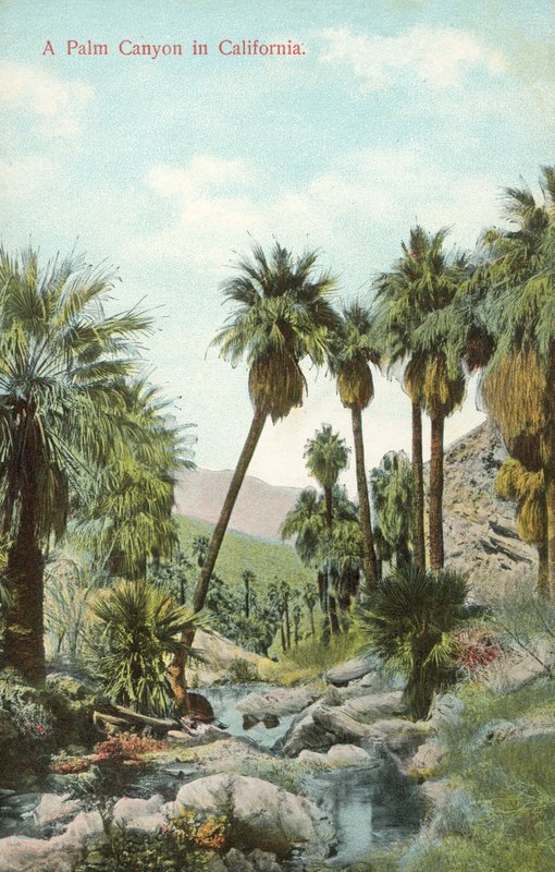 En palmkanjon, Kalifornien, USA (färgfoto) av American Photographer
