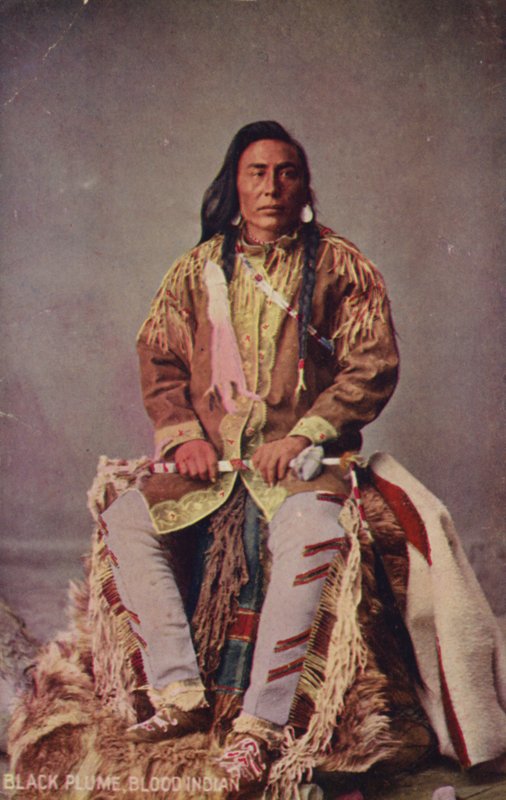 Svart plym, blodindian (foto) av American Photographer