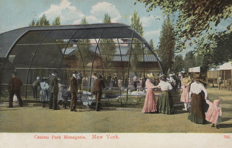 Central Park Menagerie, New York (foto) av American Photographer