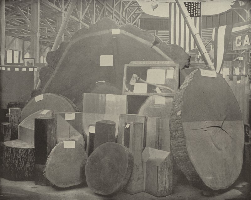 Gladstones Yxa av American Photographer