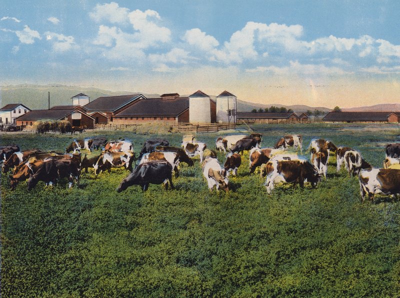 H R Timm Dairy, Dixon, Kalifornien (färgfoto) av American Photographer