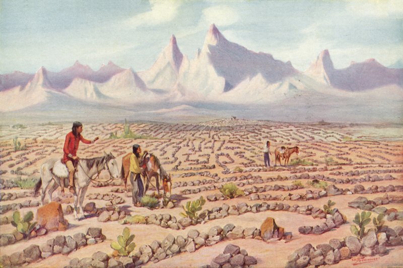 Mystic Maze of the Mojave Indians, nära Needles, Kalifornien (färgad bild) av American Photographer