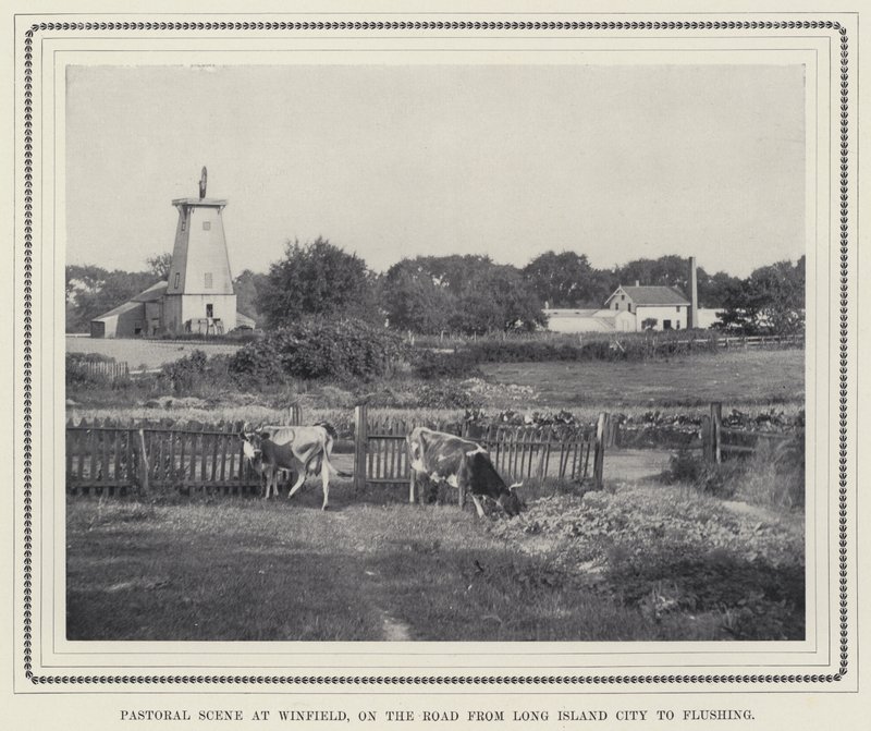 Pastoral scen vid Winfield, på vägen från Long Island City till Flushing (s/v foto) av American Photographer