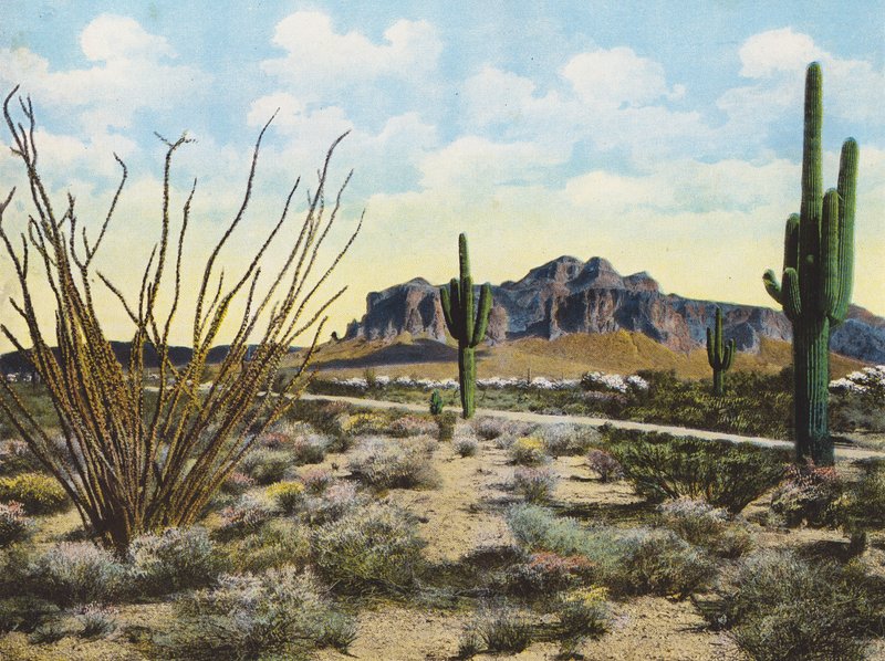 Superstition Mountain and Desert, "Apache Trail" (färgfoto) av American Photographer