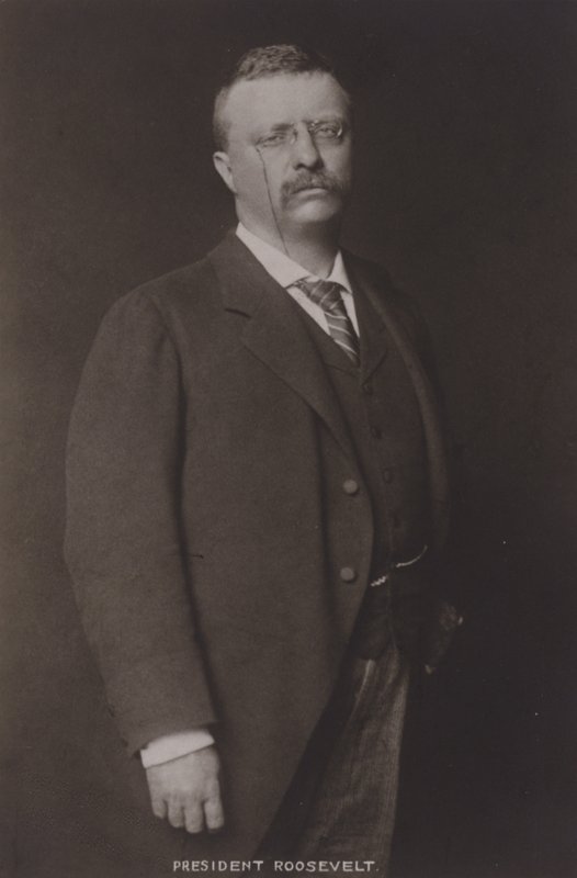 Theodore Roosevelt, USA:s 26:e president, 1904 av American Photographer
