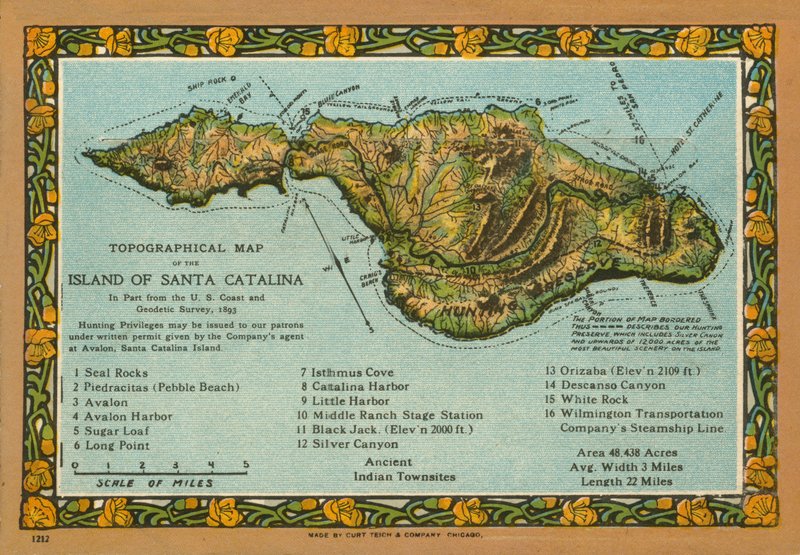 Topografisk karta över ön Santa Catalina, Kalifornien (färgfoto) av American Photographer