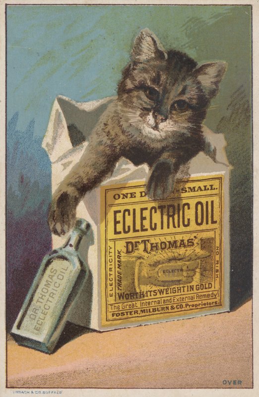 Annons för Dr Thomas" Eclectric Oil av American School