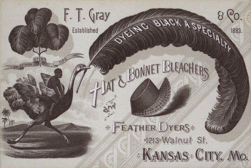 Annons för F T Grey, läktare för hatt och motorhuv och fjäderfärgare, Kansas City, Missouri, USA (litho) av American School
