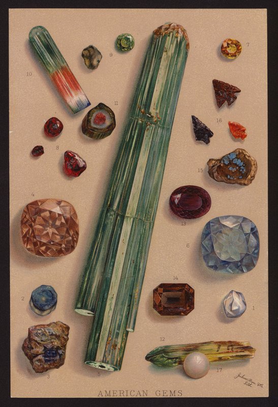 Amerikanska ädelstenar (färglitografi) av American School