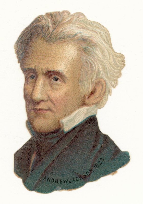 Andrew Jackson av American School
