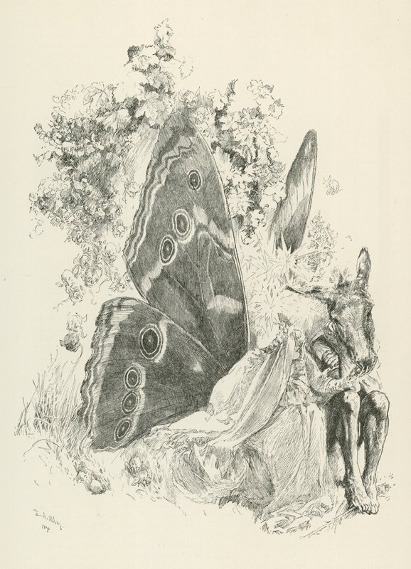 Bottom och Titania, karaktärer från William Shakespeares pjäs En midsommarnattsdröm (gravyr) av American School