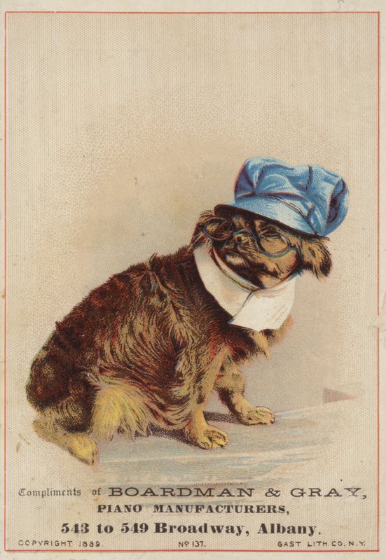 Brun hund som bär hatt och glasögon av American School