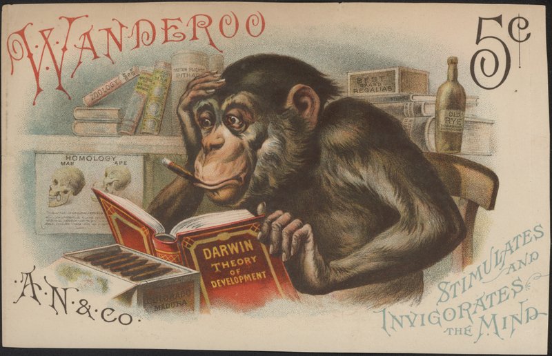 Charles Darwin, utvecklingsteori (dvs evolution) av American School