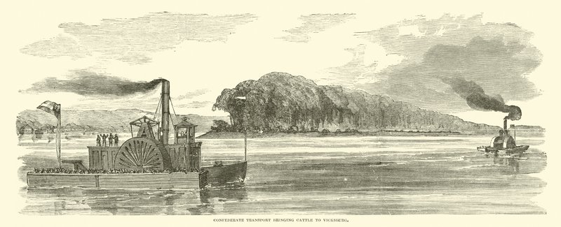 Konfedererade transporter som förde boskap till Vicksburg, februari 1863 av American School