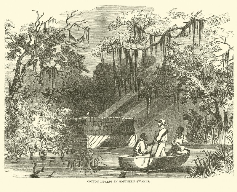 Bomullsförråd i Southern Swamps, juli 1862 av American School
