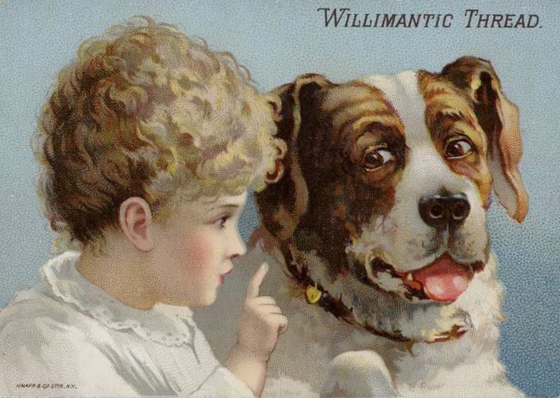 Hund och småbarn av American School