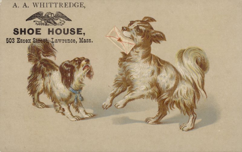 Hund håller brev i munnen av American School