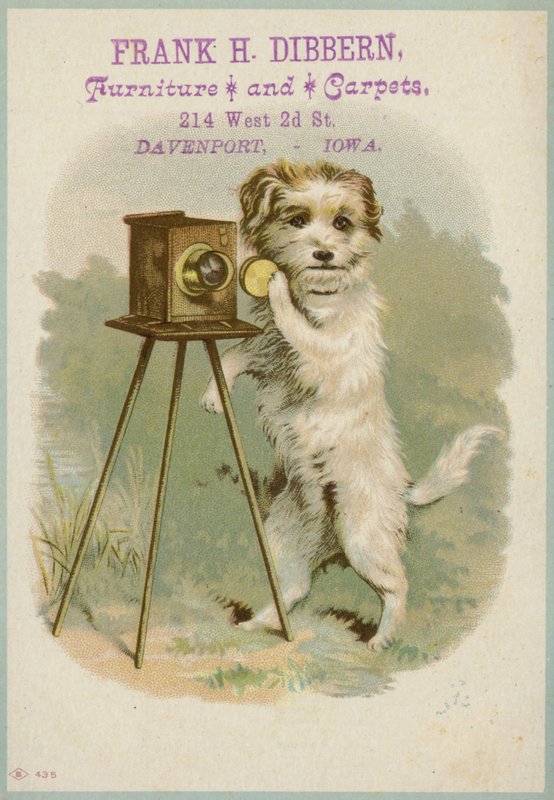Hund med en kamera av American School